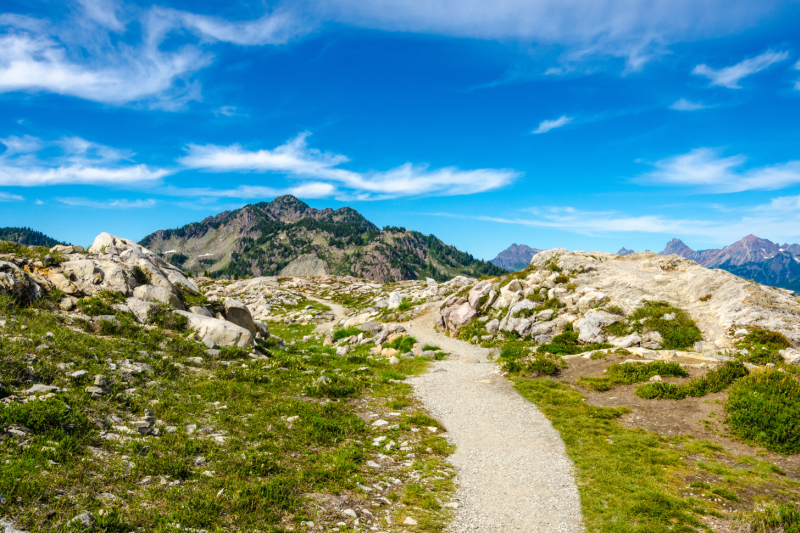 Mountain trail
