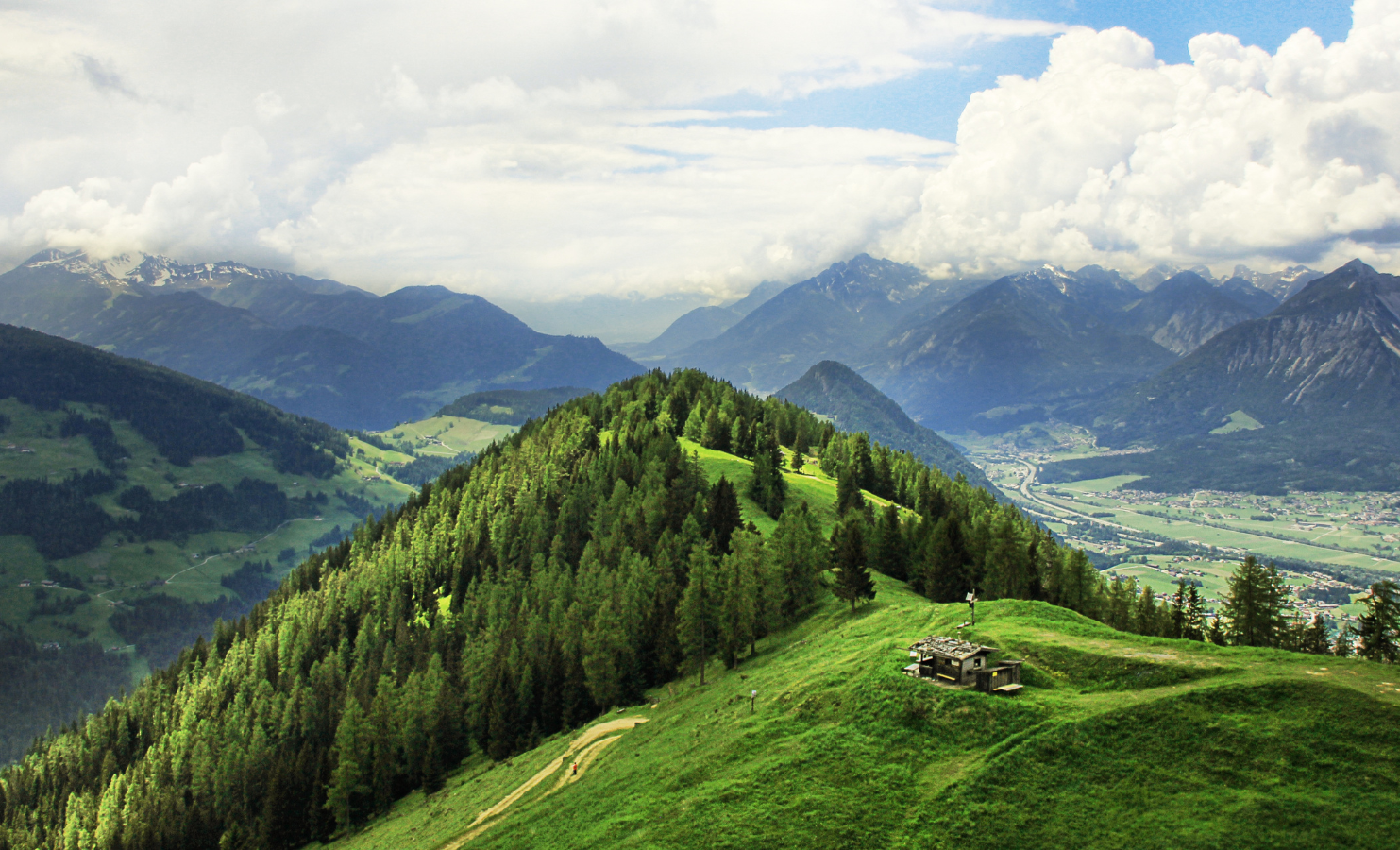 Grassy mountain