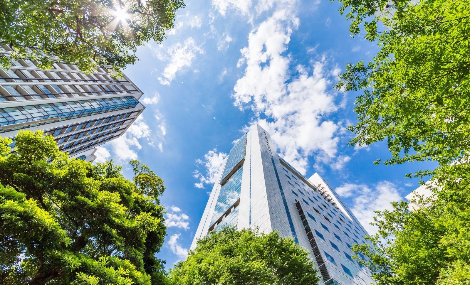City green sky