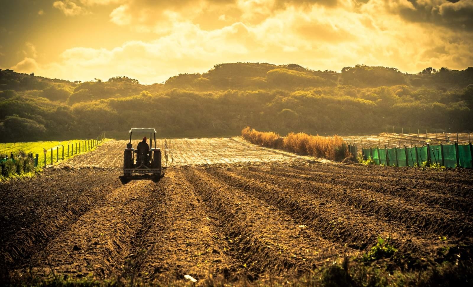 Flag agriculture