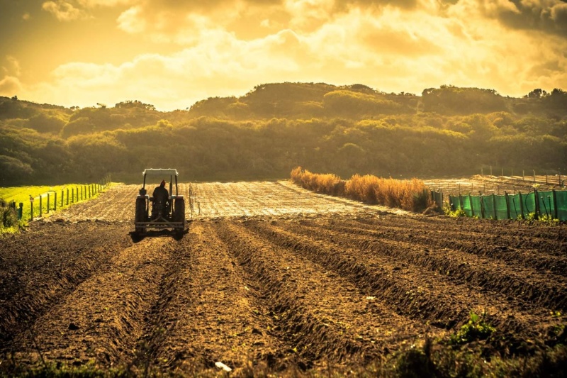 Flag agriculture