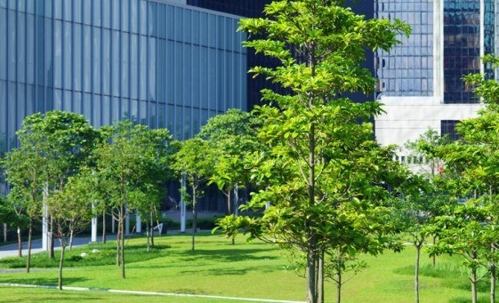 Engaging companies 564x341