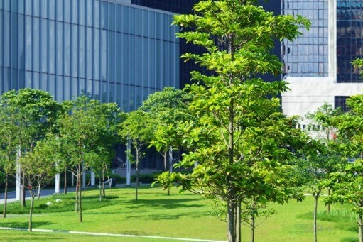 Engaging companies 564x341
