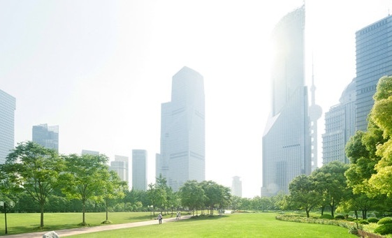 City park skyscrapers