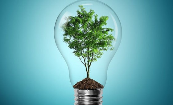 Tree in lightbulb