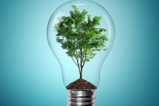 Tree in lightbulb