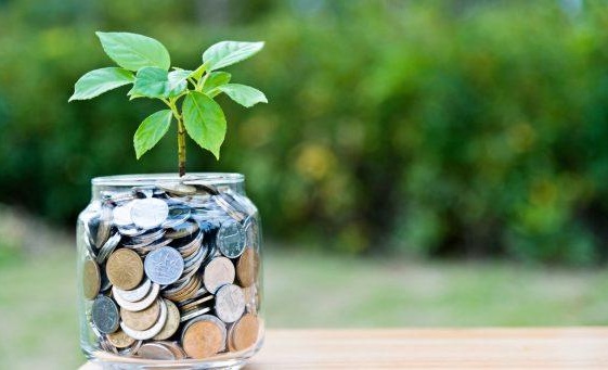 Magic money tree