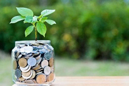 Magic money tree