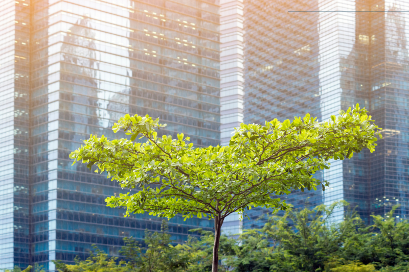 City and trees