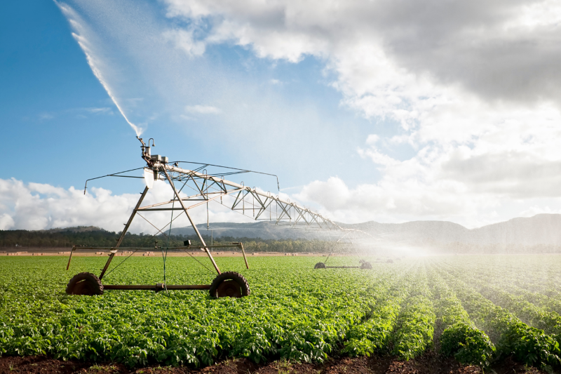 Agriculture