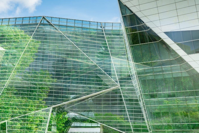 trees reflecting on building