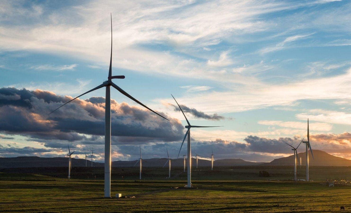 Wind turbines in field